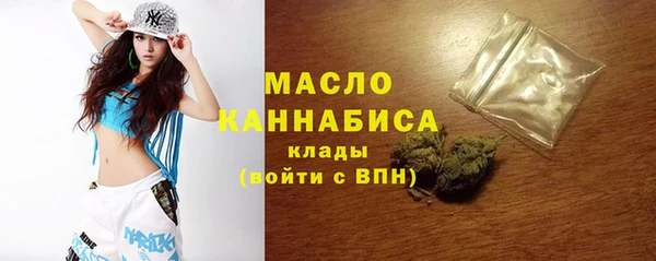 молекула духа Бородино