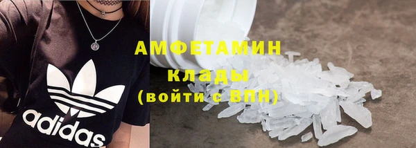 молекула духа Бородино