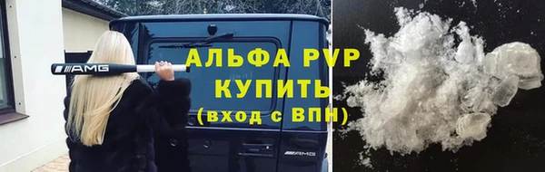 молекула духа Бородино