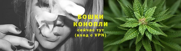 молекула духа Бородино