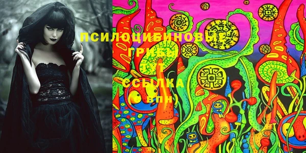 гидропоника Бугульма